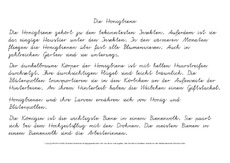Die-Honigbiene-Abschreibtext-VA.pdf